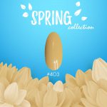 קולקציית האביב SPRING של מדמואזל