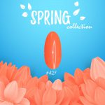 קולקציית האביב SPRING של מדמואזל