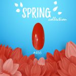 קולקציית האביב SPRING של מדמואזל