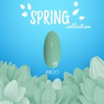 קולקציית האביב SPRING של מדמואזל