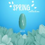 קולקציית האביב SPRING של מדמואזל