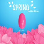 קולקציית האביב SPRING של מדמואזל